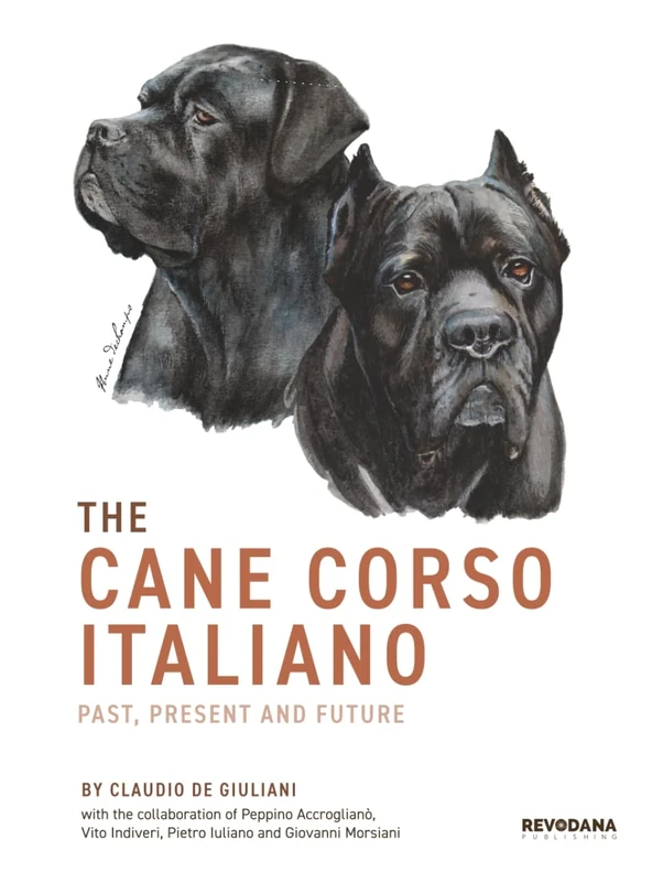 The Cane Corso Italiano: Past, Present and Future - Image 1