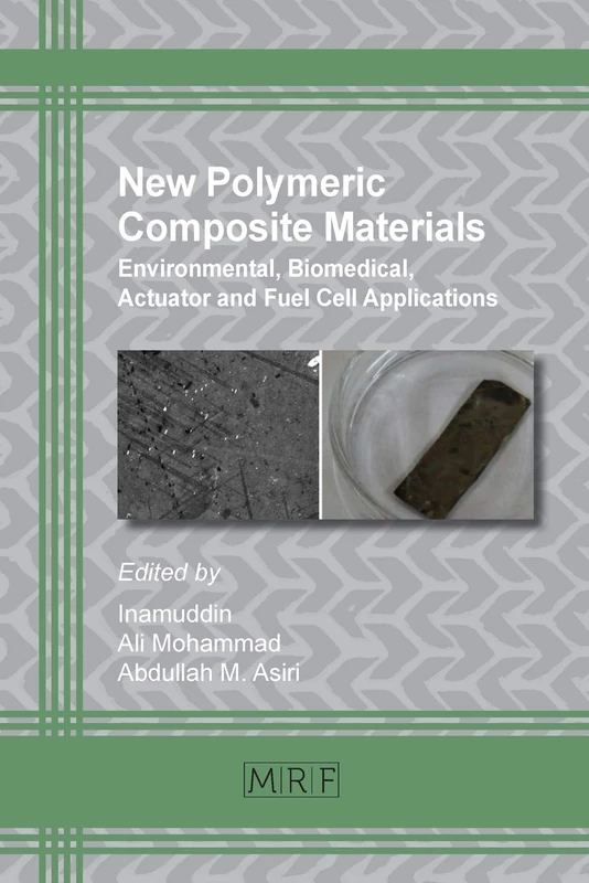 New Polymeric Composite Materials: Environmental, Biomedical, Actuator and Fuel Cell Applications: 5 (Materials Research Foundations)