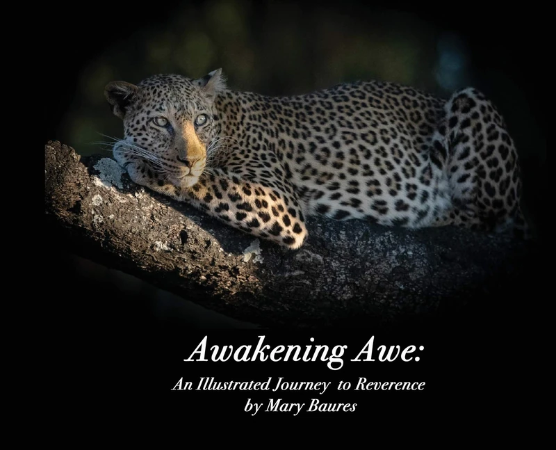 Awakening Awe: An Illustrated Journey to Reverence - Image 1