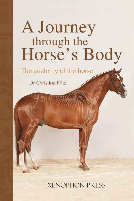 A Journey Through the Horse's Body: The Anatomy of the Horse