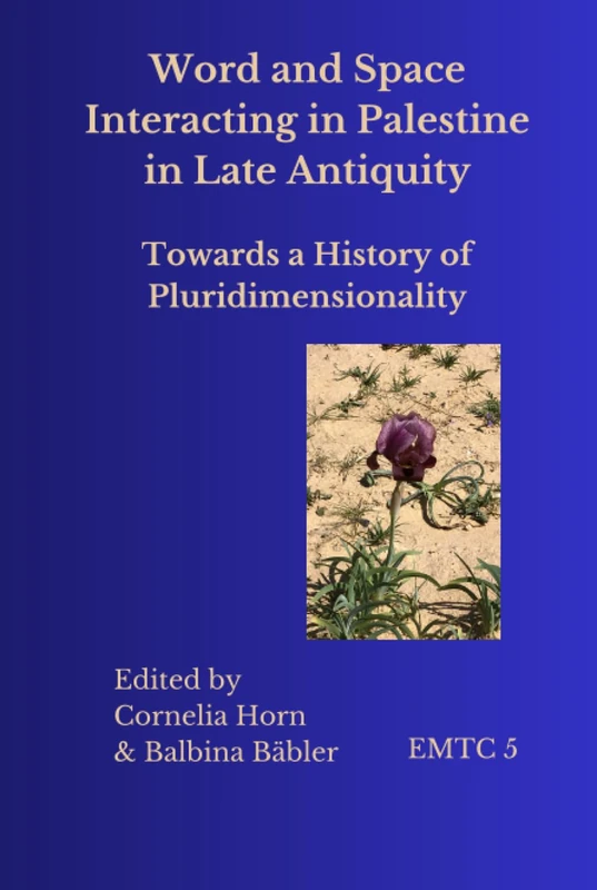 Word and Space Interacting in Palestine in Late Antiquity: Towards a History of Pluridimensionality: (in color) (Eastern Mediterranean Texts and Contexts)