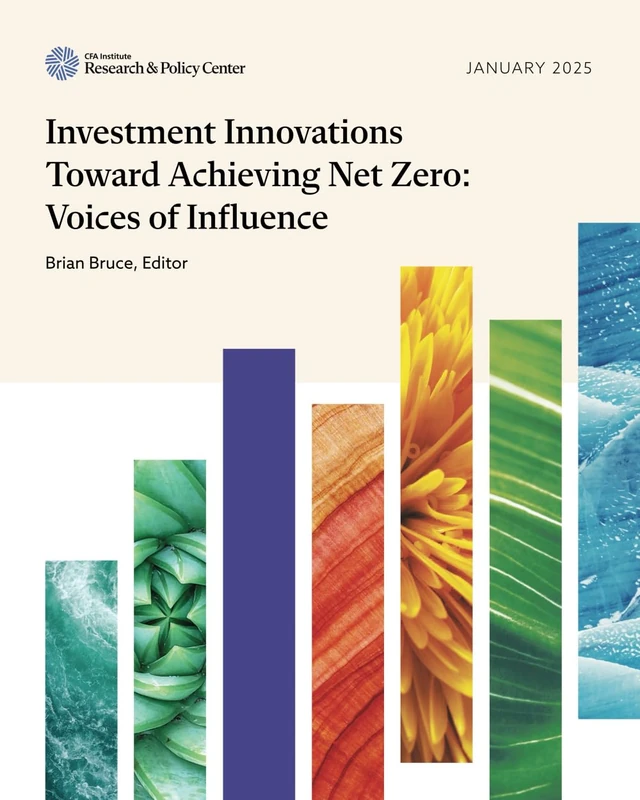Investment Innovations Toward Achieving Net Zero: Voices of Influence