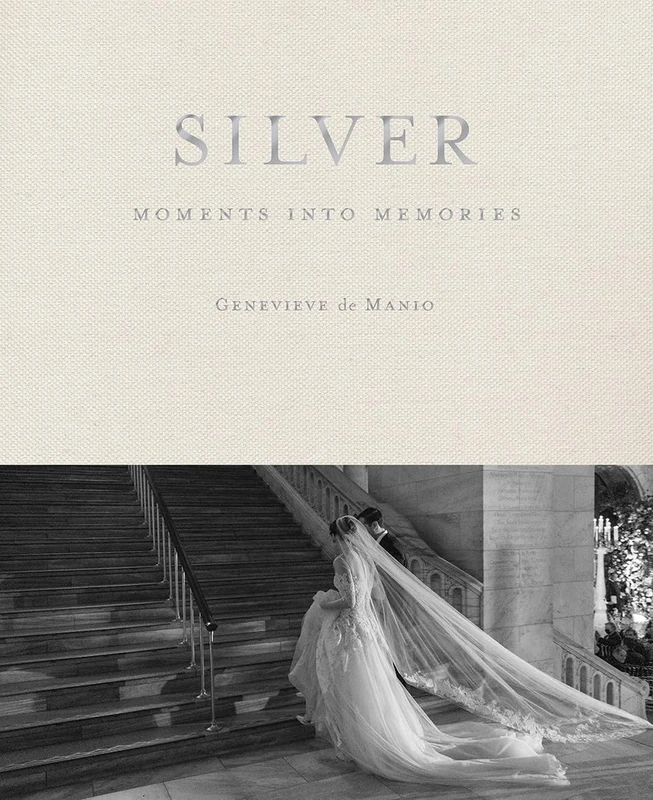 Silver: Moments into Memories - Image 1