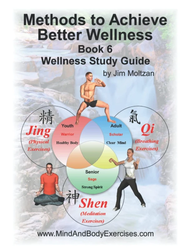 Book 6-Methods to Achieve Better Wellness (Therapeutic Applications & Traditional Medicine Series (Healing, Recovery, TCM Applied)) - Image 1