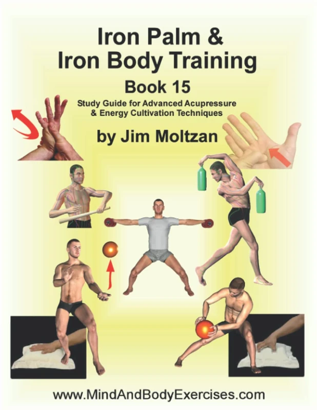 Book 15-Iron Palm & Iron Body (Therapeutic Applications & Traditional Medicine Series (Healing, Recovery, TCM Applied))