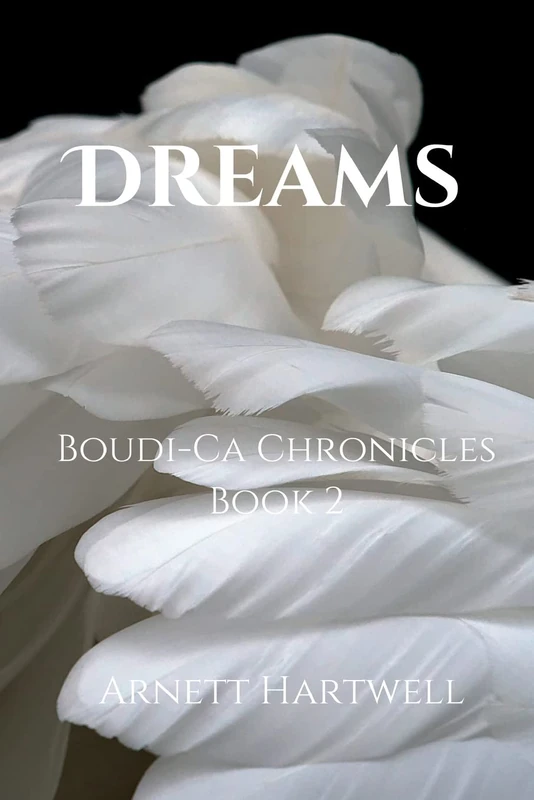 Dreams: Boudi-Ca Chronicles: 2