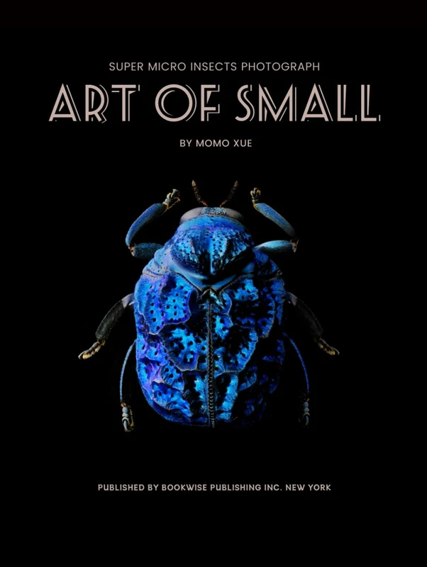 Art of Small