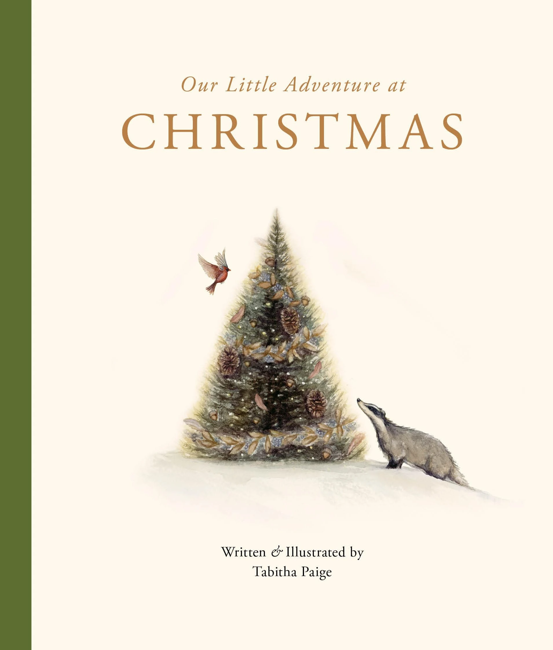 Our Little Adventure at Christmas: Featuring Foundational Language Concepts and Lessons on the Joy of Giving (Our Little Adventures Series)