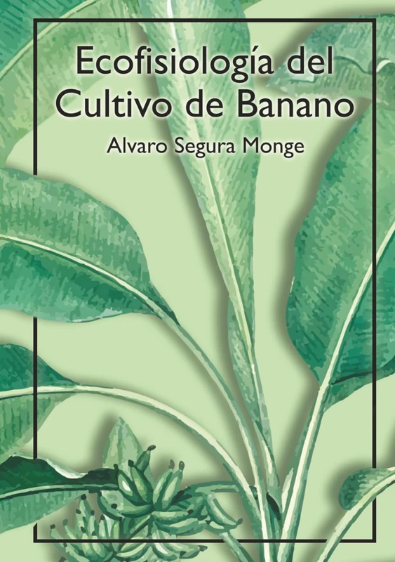 Ecofisiología Del Cultivo de Banano