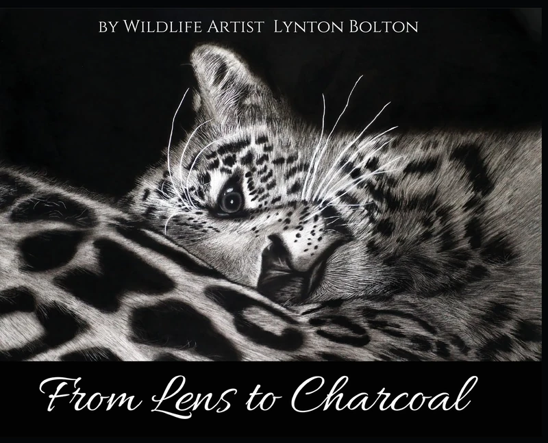 From Lens To Charcoal