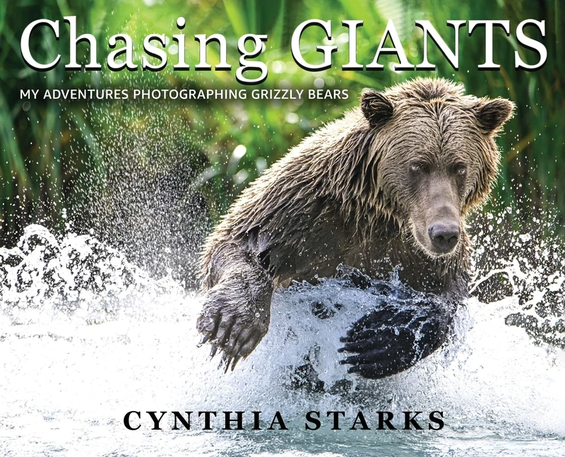 Chasing Giants: My Adventures Photographing Grizzly Bears - Volume One - - Image 1