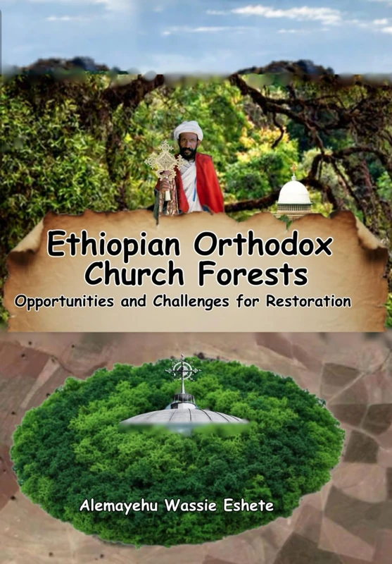 Ethiopian Orthodox Church Forests: Opportunities and Challenges for Restoration - Image 1