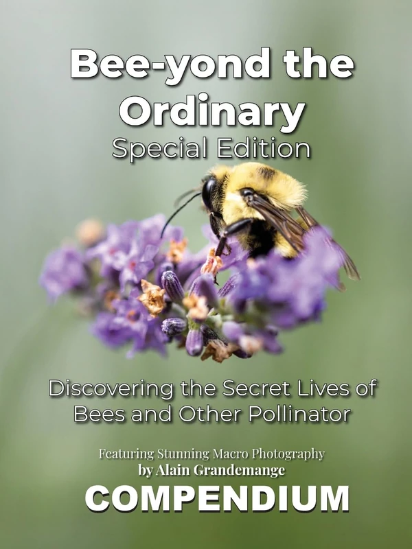Bee-yond the Ordinary: The 4 Volume Compendium