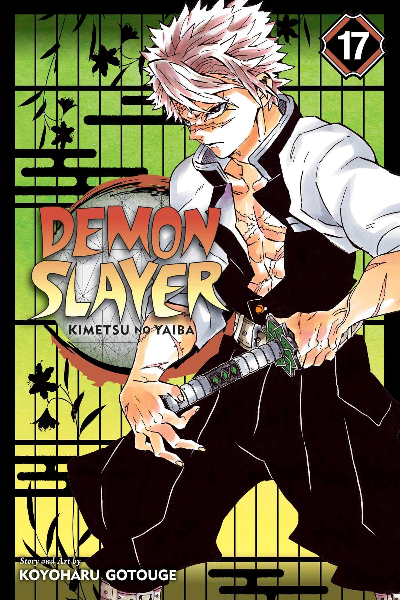Demon Slayer: Kimetsu no Yaiba, Vol. 17: Volume 17