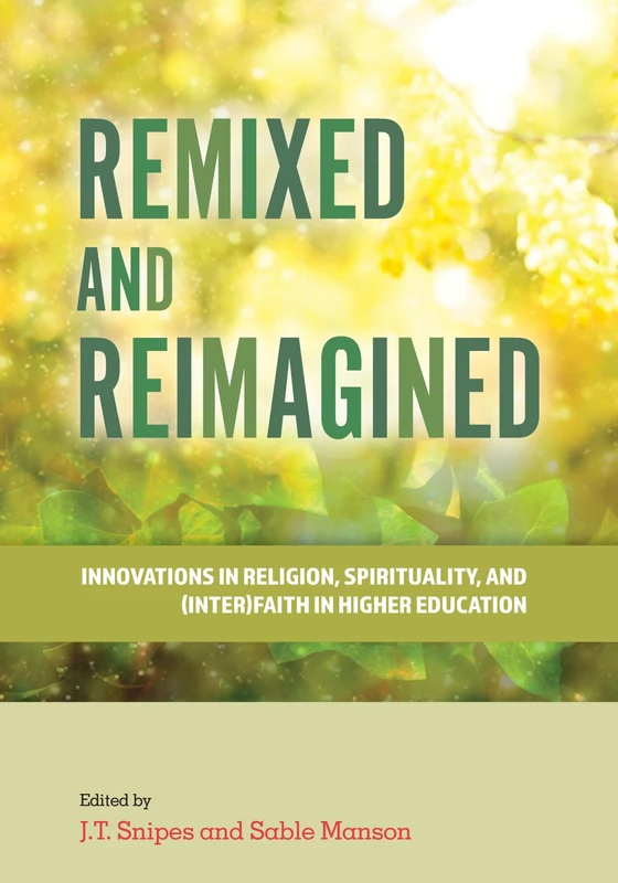 Remixed and Reimagined: Innovations in Religion, Spirituality, and (Inter)Faith in Higher Education (Culture and Society in Higher Education) - Image 1