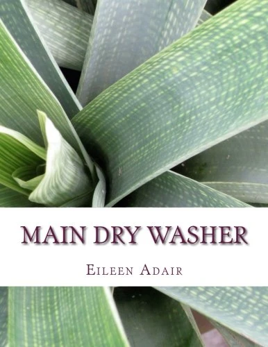 Main Dry Washer - Image 1