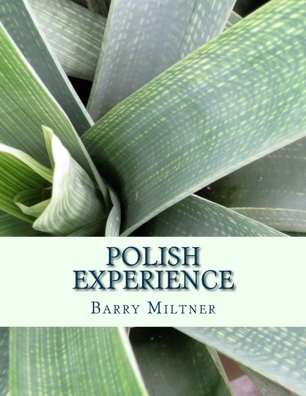 Polish Experience
