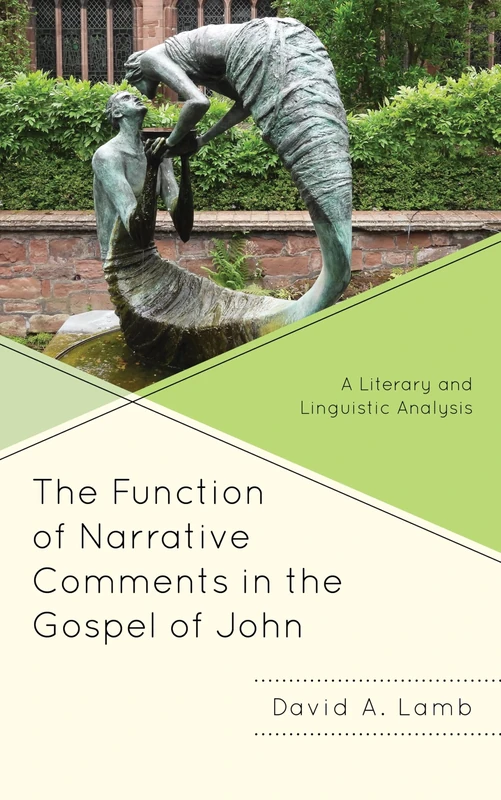 The Function of Narrative Comments in the Gospel of John: A Literary and Linguistic Analysis (Interpreting Johannine Literature)