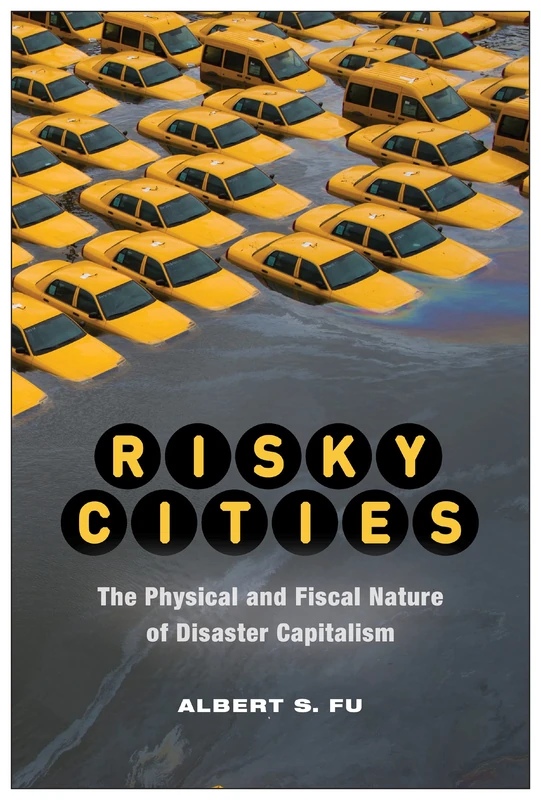 Risky Cities: The Physical and Fiscal Nature of Disaster Capitalism (Nature, Society, and Culture)
