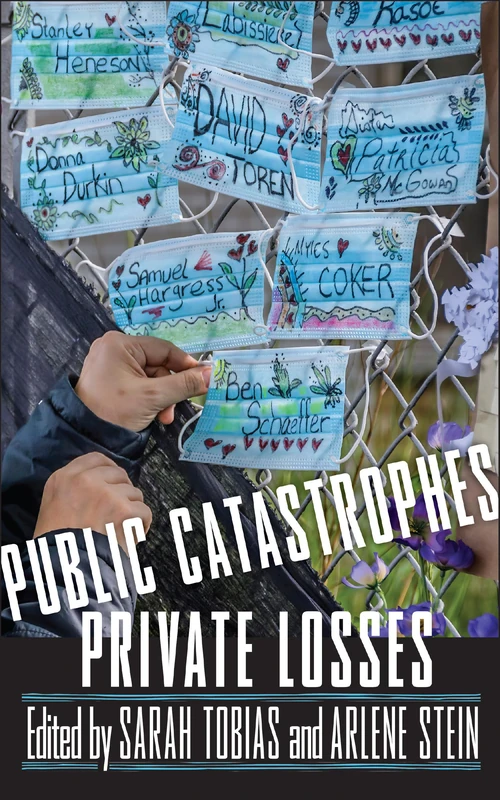 Public Catastrophes, Private Losses (The Feminist Bookshelf: Ideas for the 21st Century)