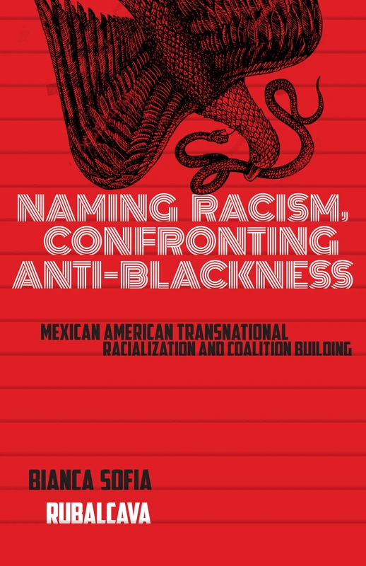 Naming Racism, Confronting Anti-Blackness: Mexican American Transnational Racialization and Coalition Building