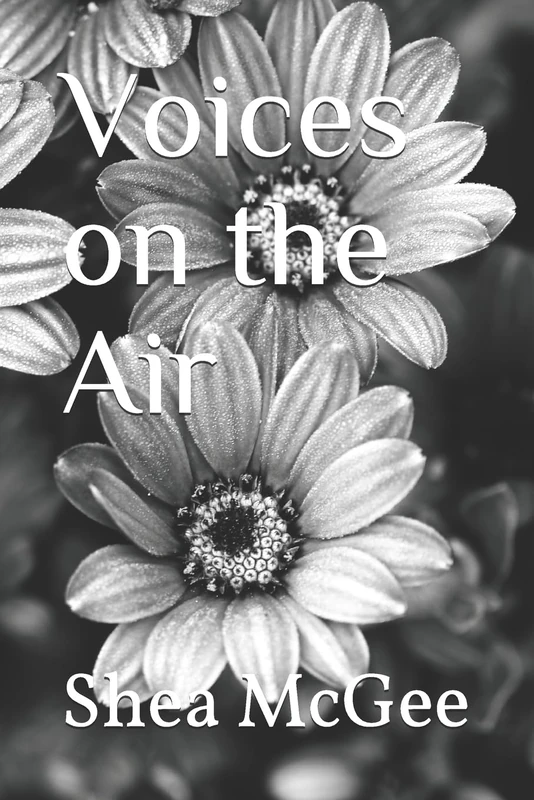 Voices on the Air: 1 (Makaela Williams Series) - Image 1