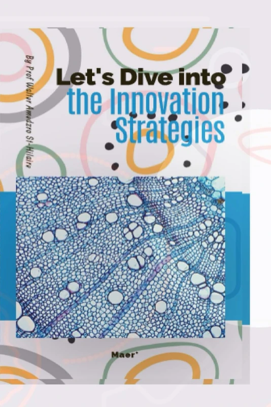 Let's Dive into The Innovation Strategies (TOWARDS VALUE-BASED MANAGEMENT FOR INDUSTRIAL AND SECTORAL ECONOMIES?)