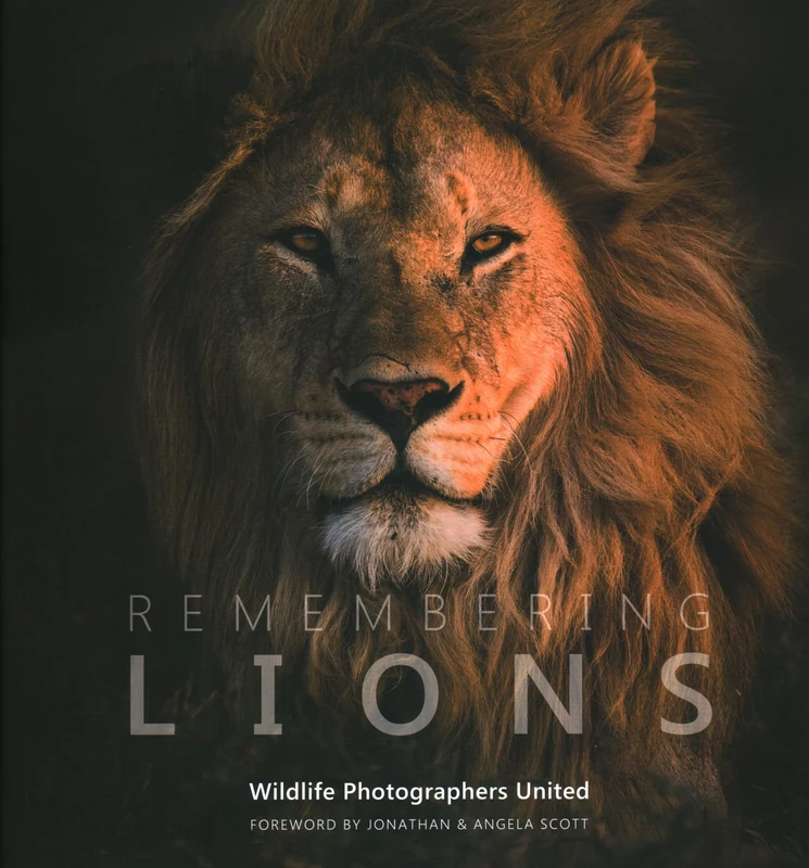 Remembering Lions (Remembering Wildlife): 4