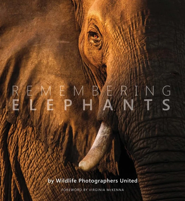 Remembering Elephants: 1 (Remembering Wildlife)