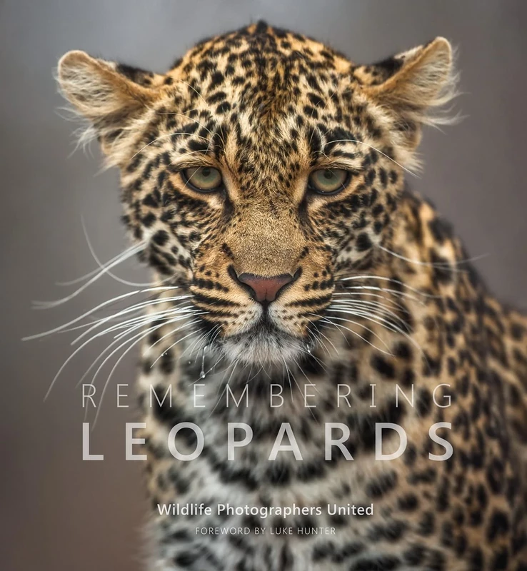Remembering Leopards: 8 (Remembering Wildlife)