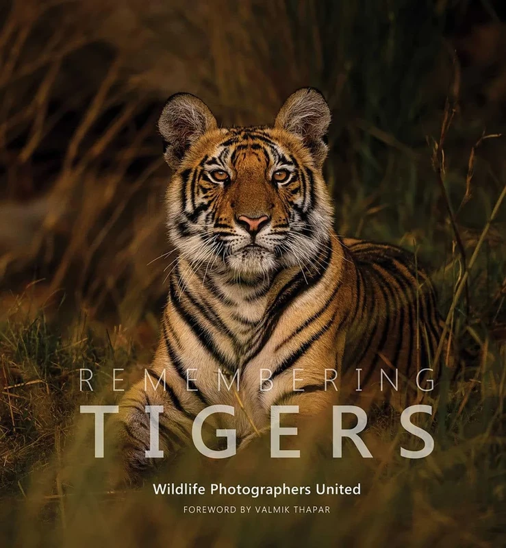 Remembering Tigers: 9 (Remembering Wildlife)