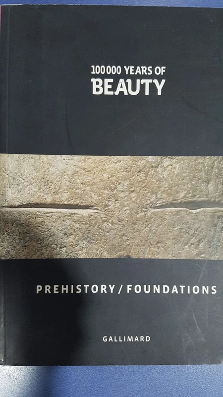 100 000 ans de beaute - GALLIMARD Book