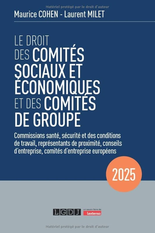 Le droit des comités sociaux et économiques et des comités de groupe (CSE): Commissions santé, sécurité et des conditions de travail, représentants de ... comités d'entreprise européens (2025)