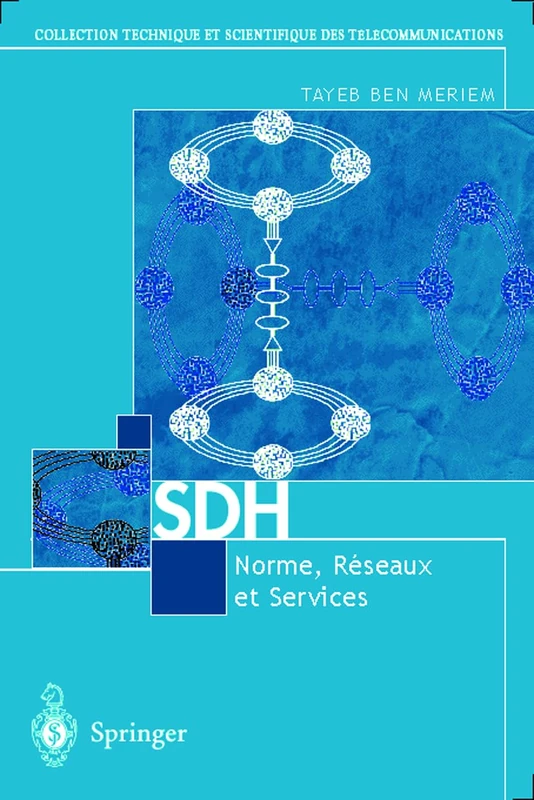SDH Normes, Reseaux Et Services: Normes, Réseaux et Services