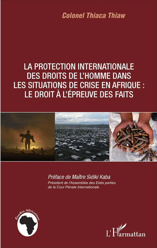 La protection internationale des droits de l'homme dans les situations de crise en Afrique :: Le droit à l'épreuve des faits (Études Africaines)