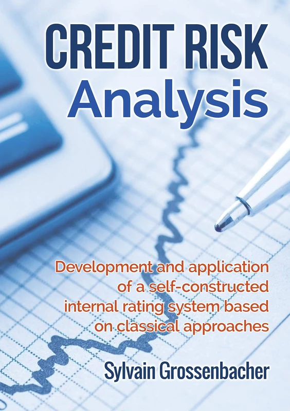 Credit Risk Analysis: development and application of a self-constructed internal rating system based on classical approaches