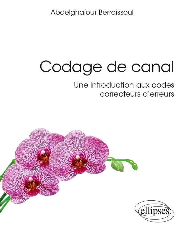 Codage de canal : une introduction aux codes correcteurs d'erreurs (Références sciences)