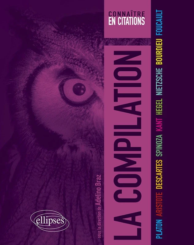 La compilation: Platon, Aristote, Descartes, Spinoza, Kant, Hegel, Nietzsche, Bourdieu, Foucault - Image 1