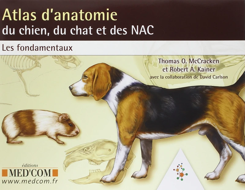 ATLAS D'ANATOMIE DU CHIEN DU CHAT ET DES NAC LES FONDAMENTAUX (0000)
