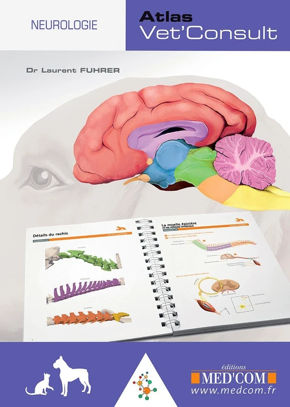 ATLAS VET'CONSULT NEUROLOGIE - Image 1