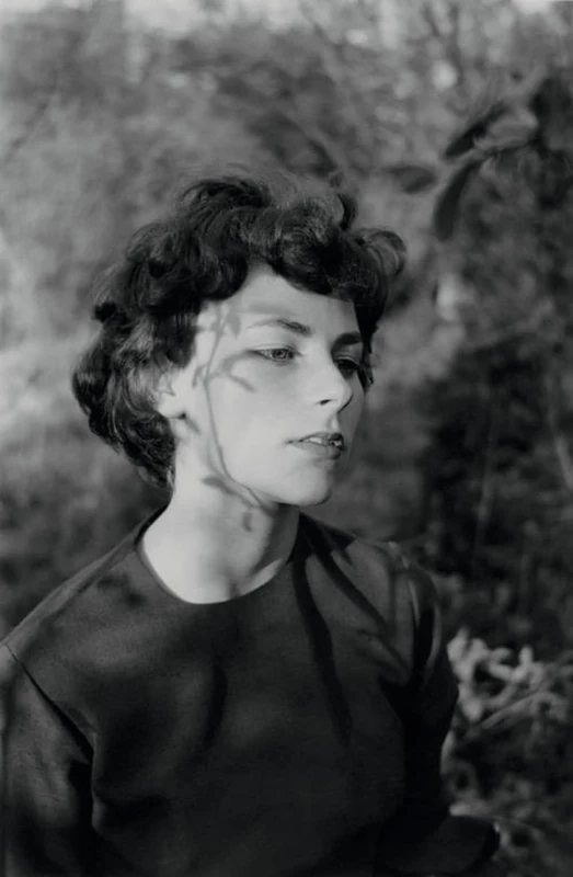 Emmet Gowin