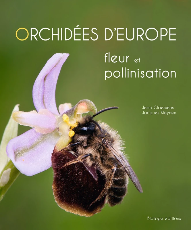 Orchidées d'Europe fleur et pollinisation - Image 1