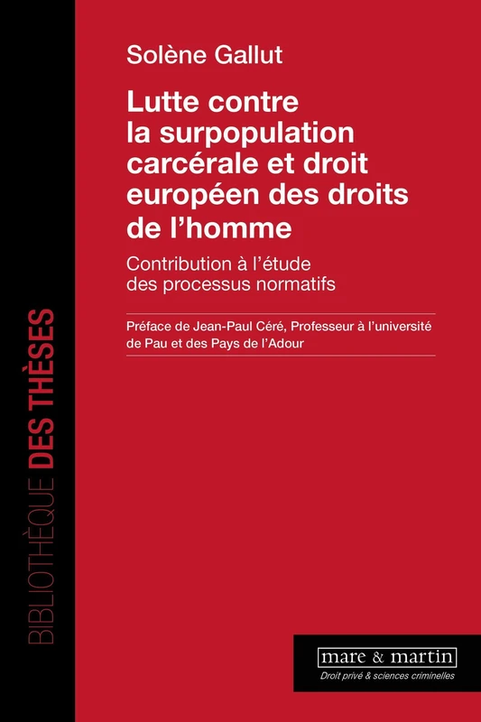 Lutte contre la surpopulation carcérale et droit européen des droits de l'homme: Contribution à l'étude des processus normatifs