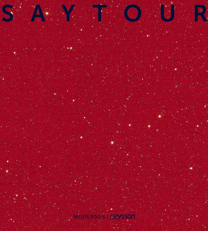 Saytour VA Tome 1: Artworks