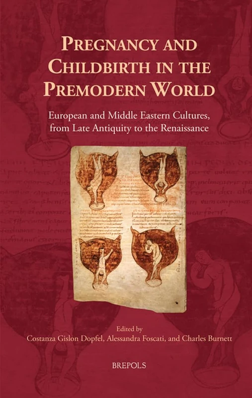 Pregnancy and Childbirth in the Premodern World: European and Middle Eastern Cultures, from Late Antiquity to the Renaissance: 36 (Cursor Mundi)