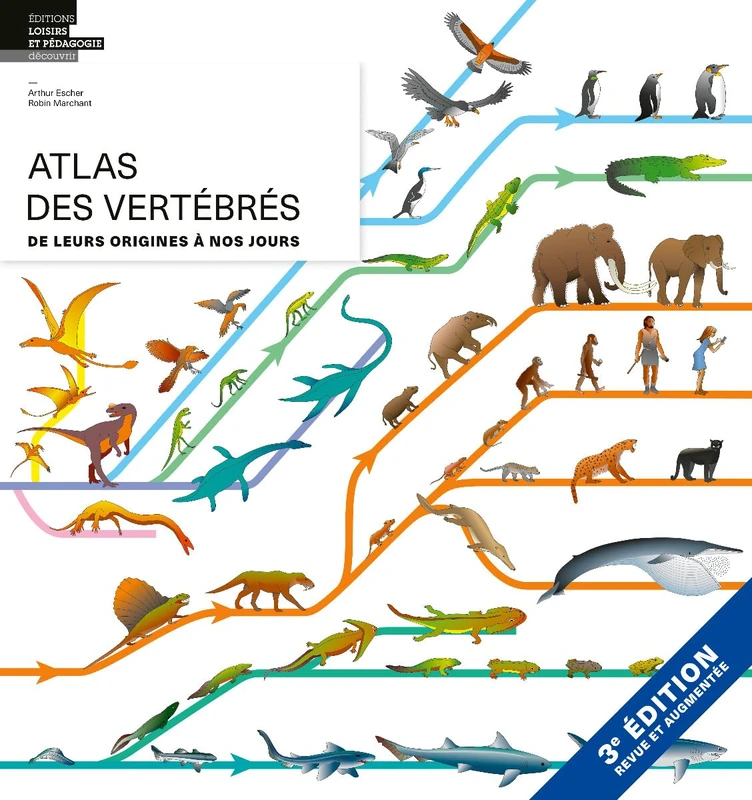 Atlas des vertébrés: De leurs origines à nos jours