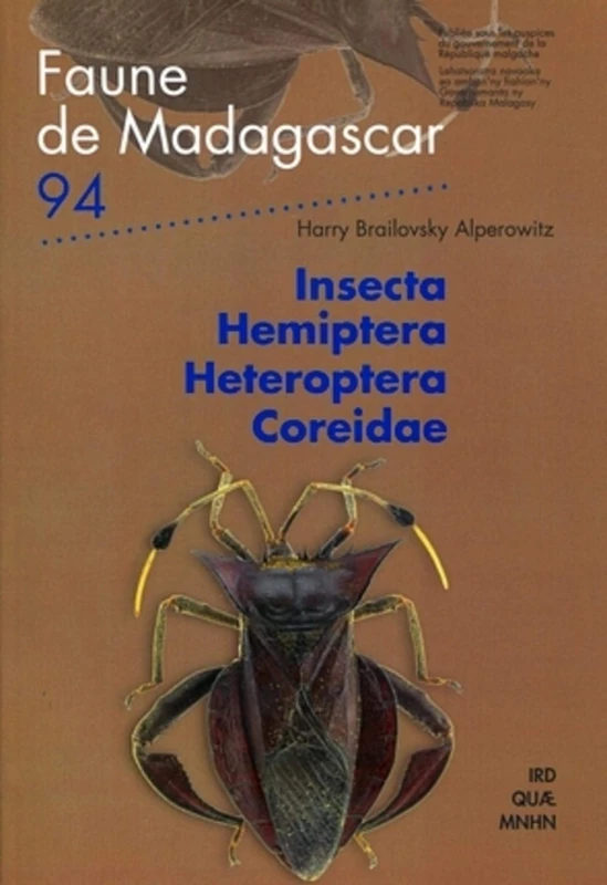 INSECTA HEMIPTERA HETEROPTERA COREIDAE: N 94. - Image 1