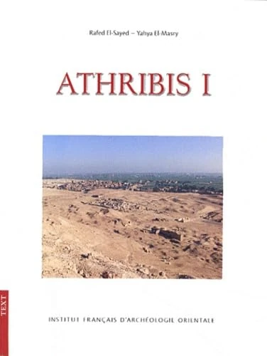 Athribis I. General Site Survey 2003-2007: Archaeologial and Conservation Studies: The Gate of Ptolemy IX. Architecture and Inscriptions. 1. Text. 2. Tafeln: 1.1 (Temples) - Image 1