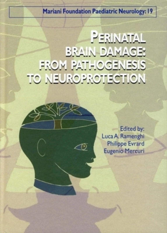 Perinatal Brain Damage (Mariani Foundation Paediatric Neurology Series: 19)