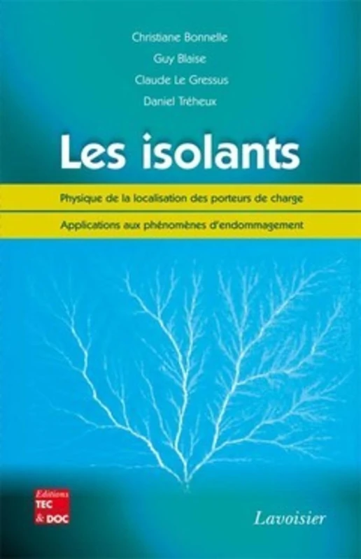 Les isolants: Physique de la localisation des porteurs de charge - Applications aux phénomènes d'endommagement